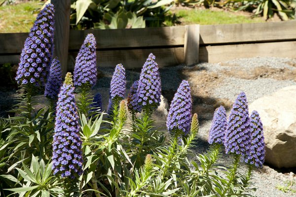 Recettes rapides et faciles à réaliser avec un four à micro-ondes