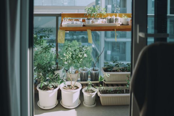 Explorez les Techniques de Permaculture pour Créer un Jardin Durable sur Votre Balcon