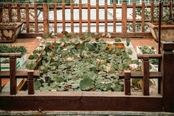 Guide Pratique pour Aménager un Jardin Aquatique Éblouissant sur Votre Toit Plat
