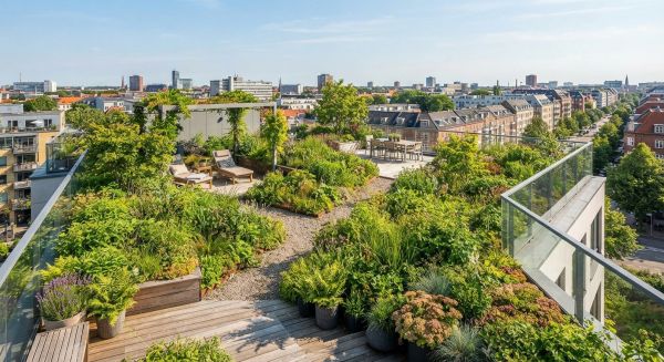 Top conseils pour une toiture terrasse verdoyante réussie